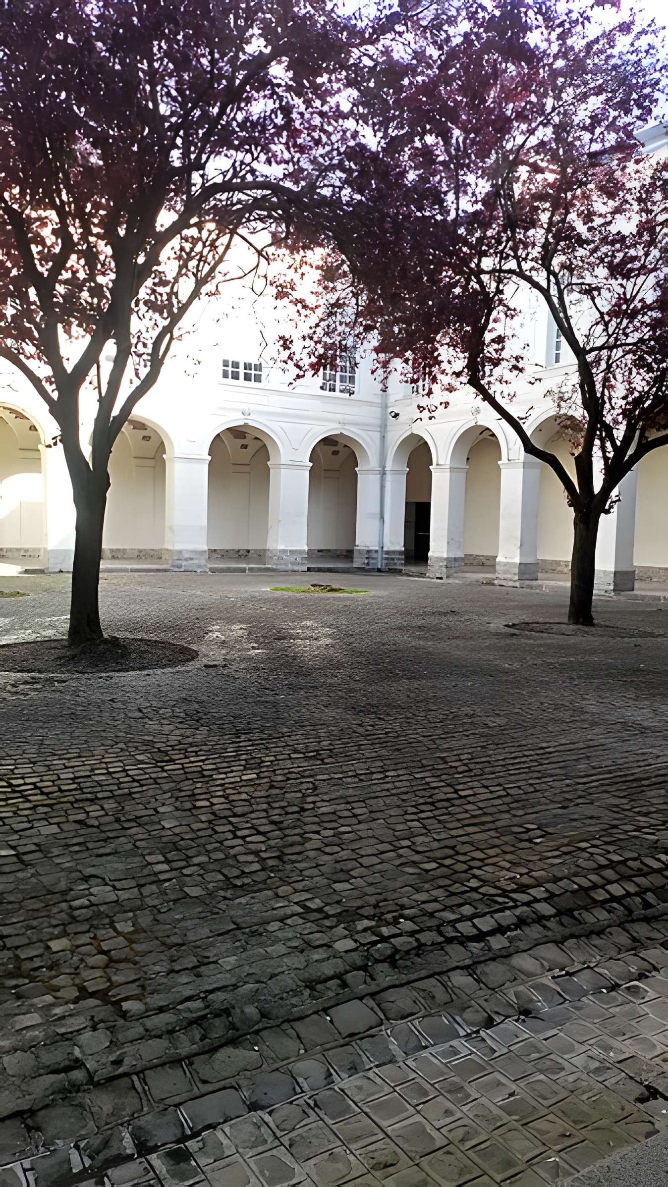 Abbaye Saint-Jean-des-Prémontrés d'Amiens
