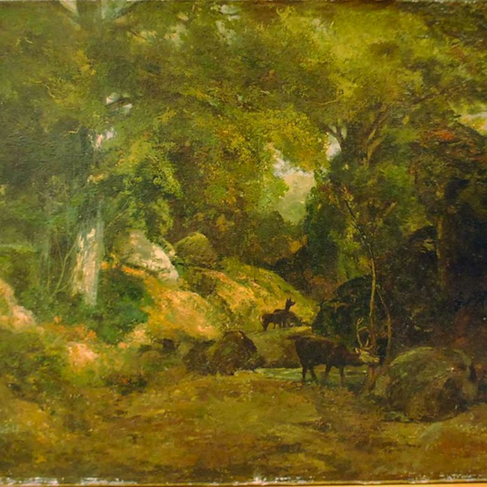 Photo de Château de Flers