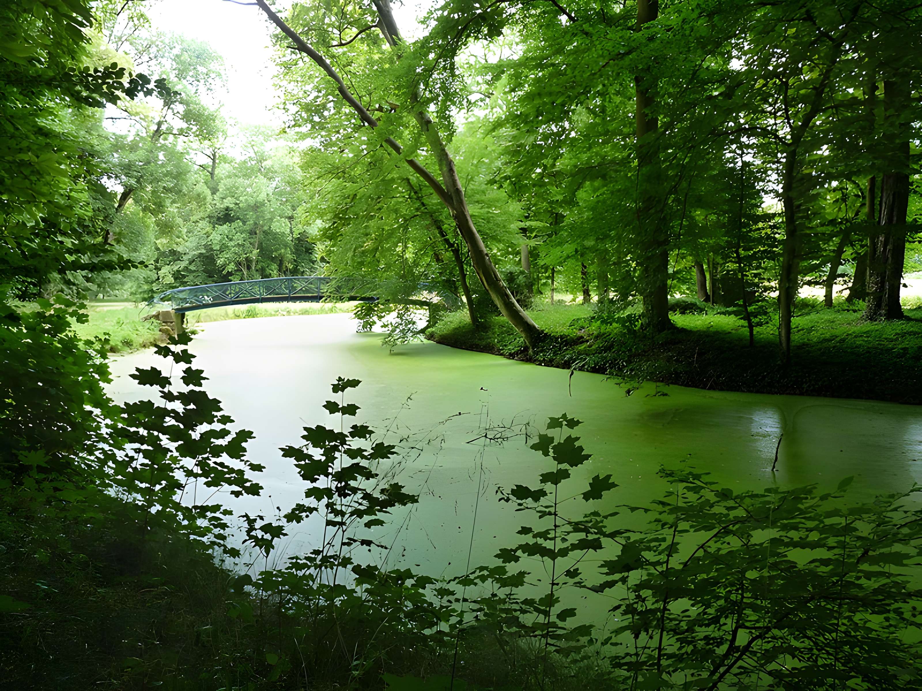 Château de Fléville