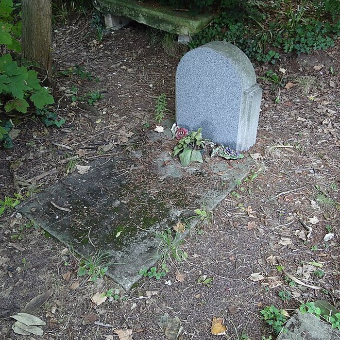 Photo de Ancien asile daliénés du Bon Sauveur de Caen