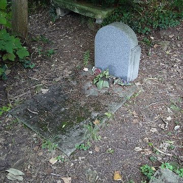 Ancien asile daliénés du Bon Sauveur de Caen