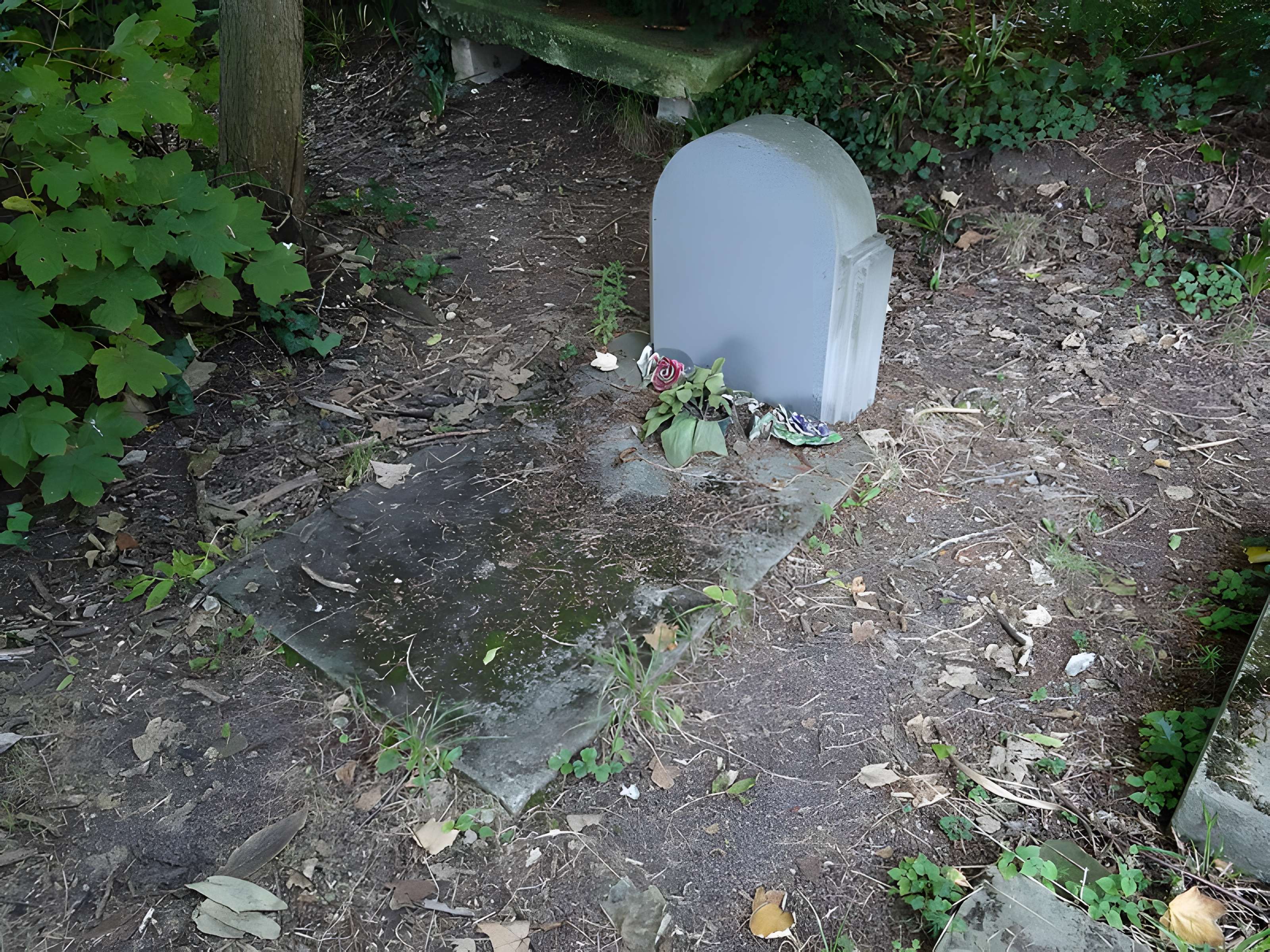 Ancien asile d'aliénés du Bon Sauveur de Caen