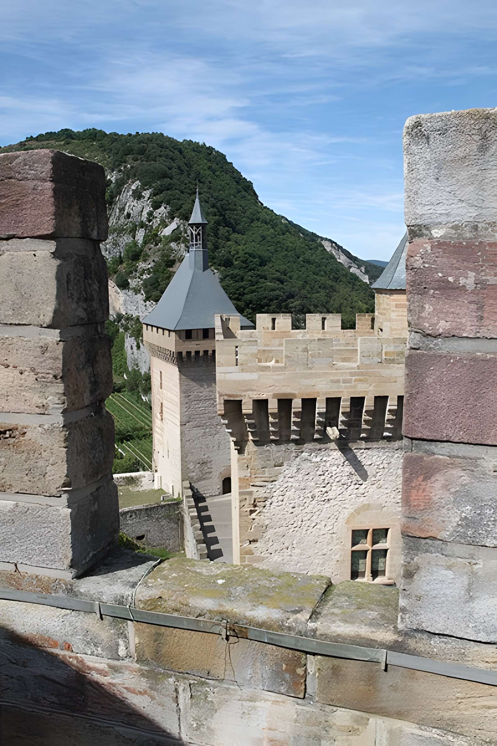 Château de Foix