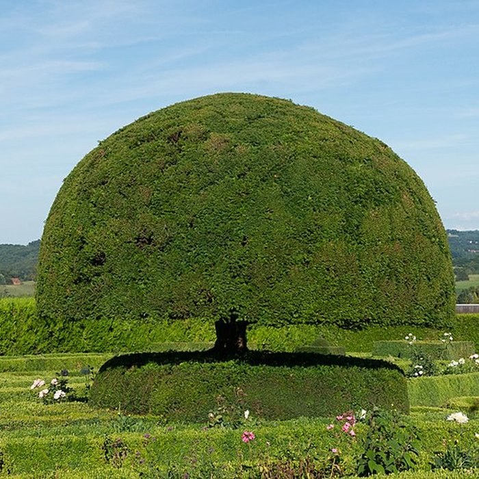 Photo de Ancien hôpital de Hautefort