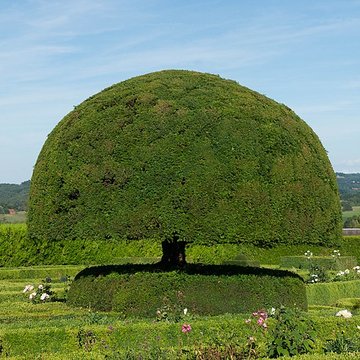 Ancien hôpital de Hautefort