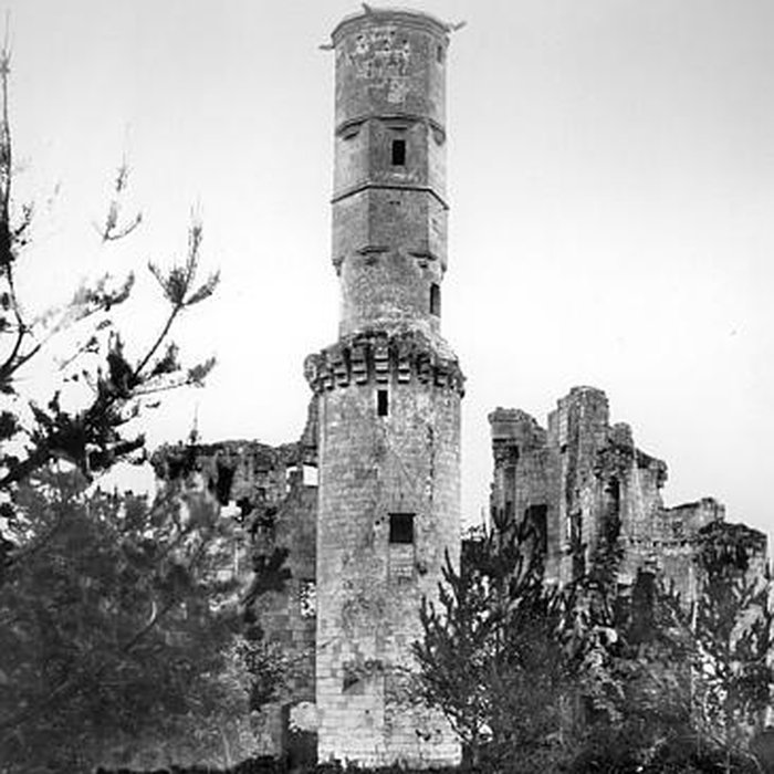 Photo de Château de Folleville