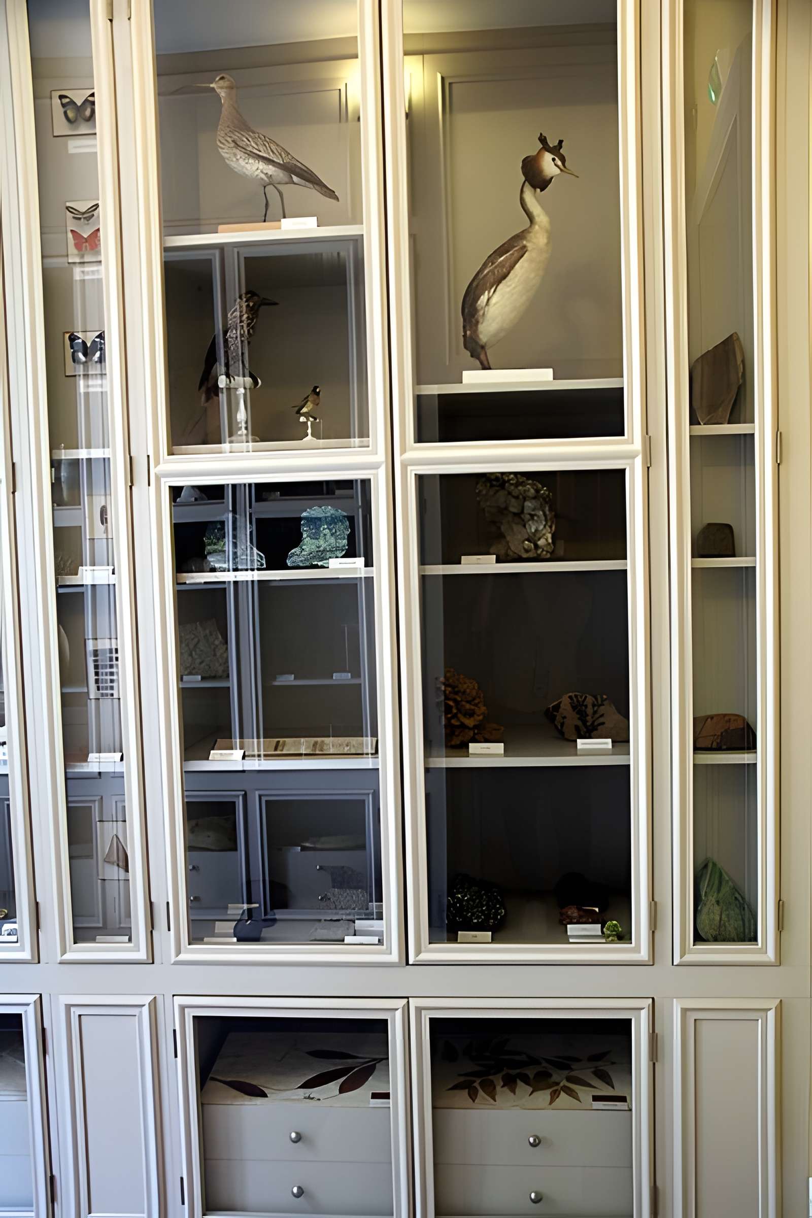 Appartement du docteur Gagnon à Grenoble