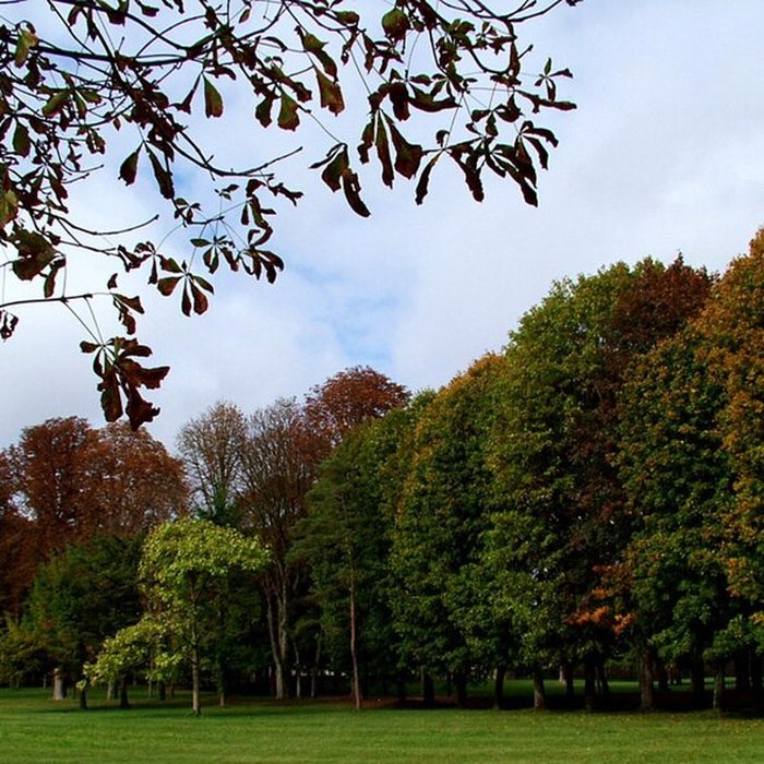 Photo de Château de Fontainebleau