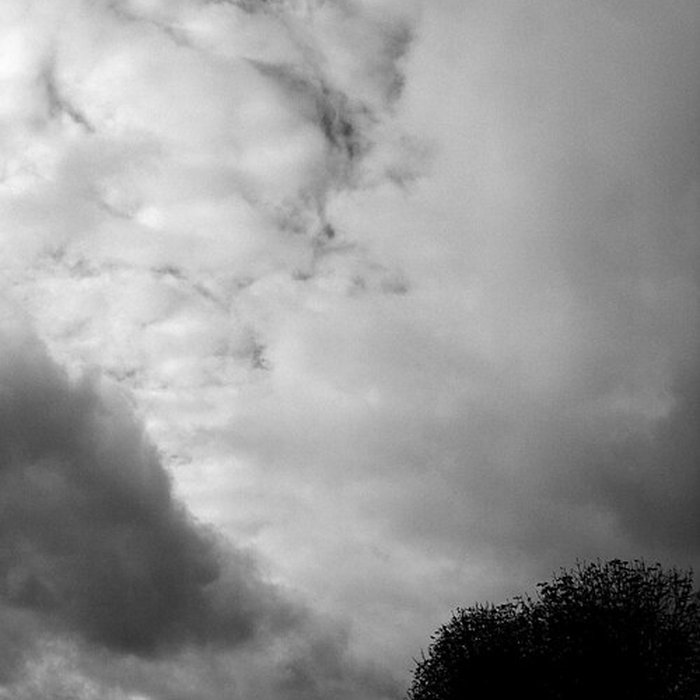 Photo de Château de Fontainebleau