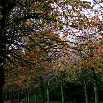 Château de Fontainebleau