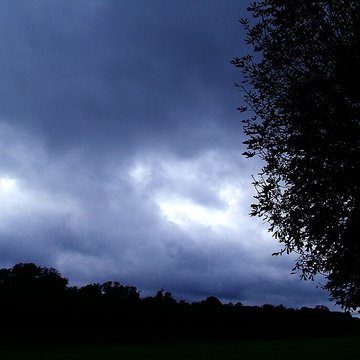 Château de Fontainebleau
