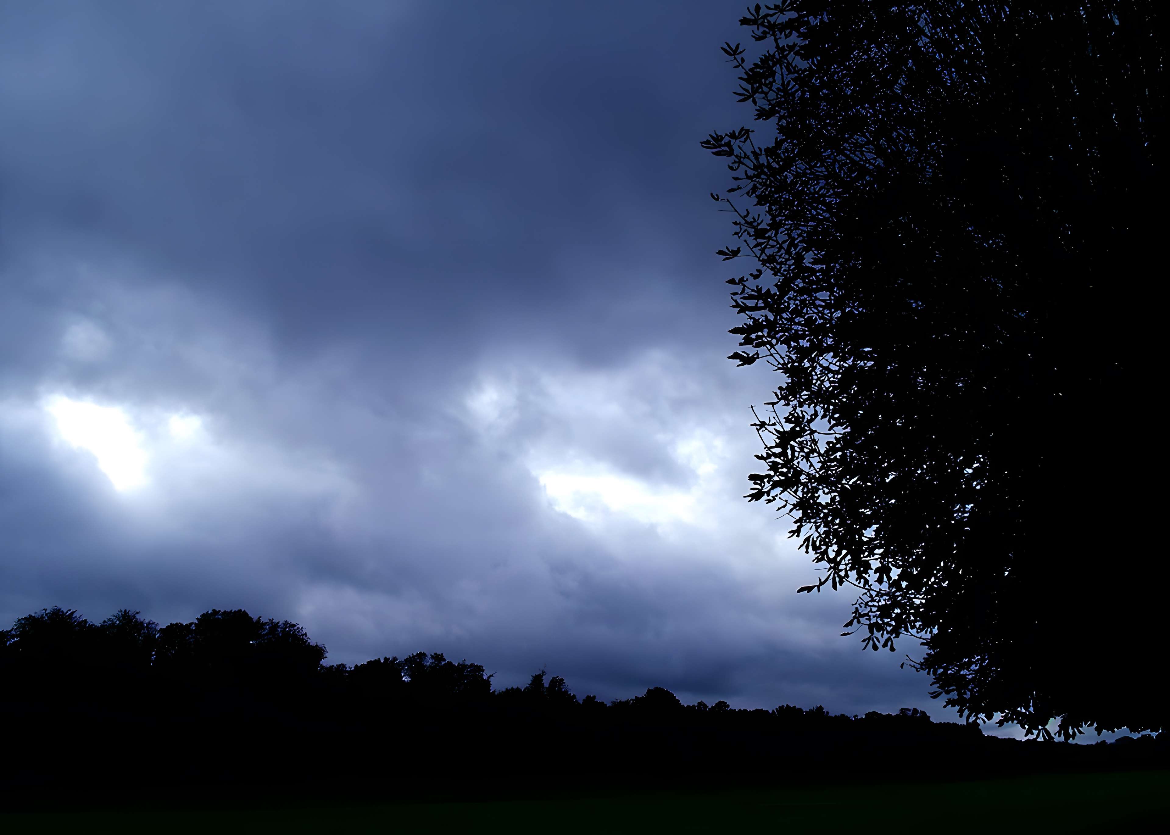 Château de Fontainebleau