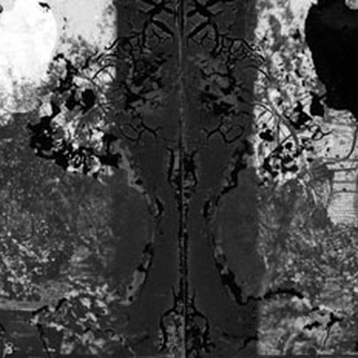 Photo de Arc de Diane à Cahors