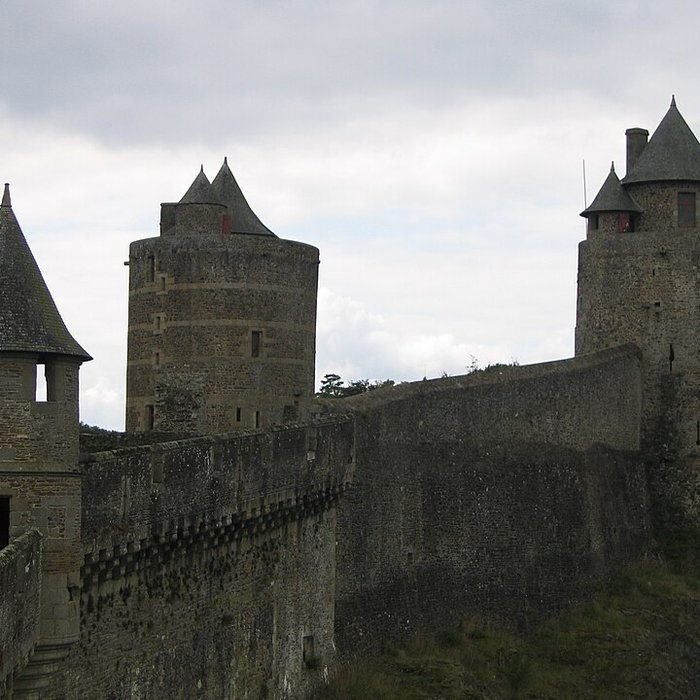 Photo de Château de Fougères