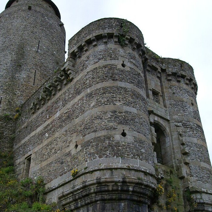 Photo de Château de Fougères