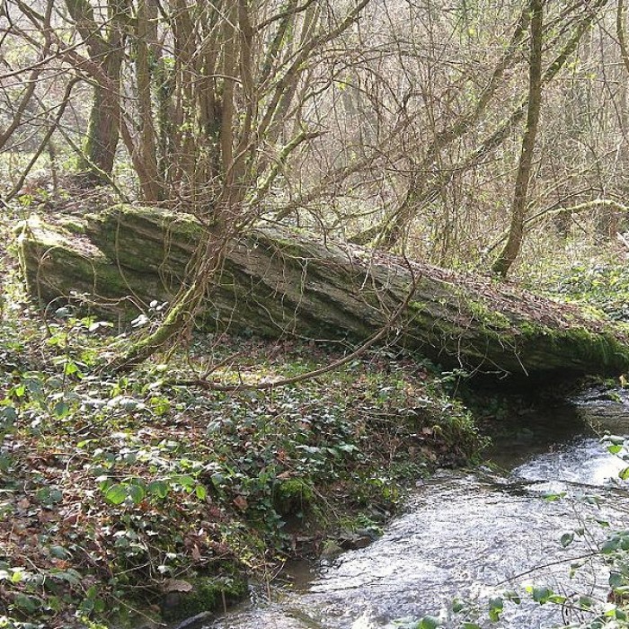 Photo de Belle Roche de Culey-le-Patry