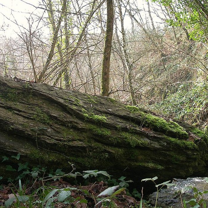 Photo de Belle Roche de Culey-le-Patry