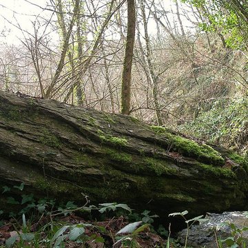 Belle Roche de Culey-le-Patry