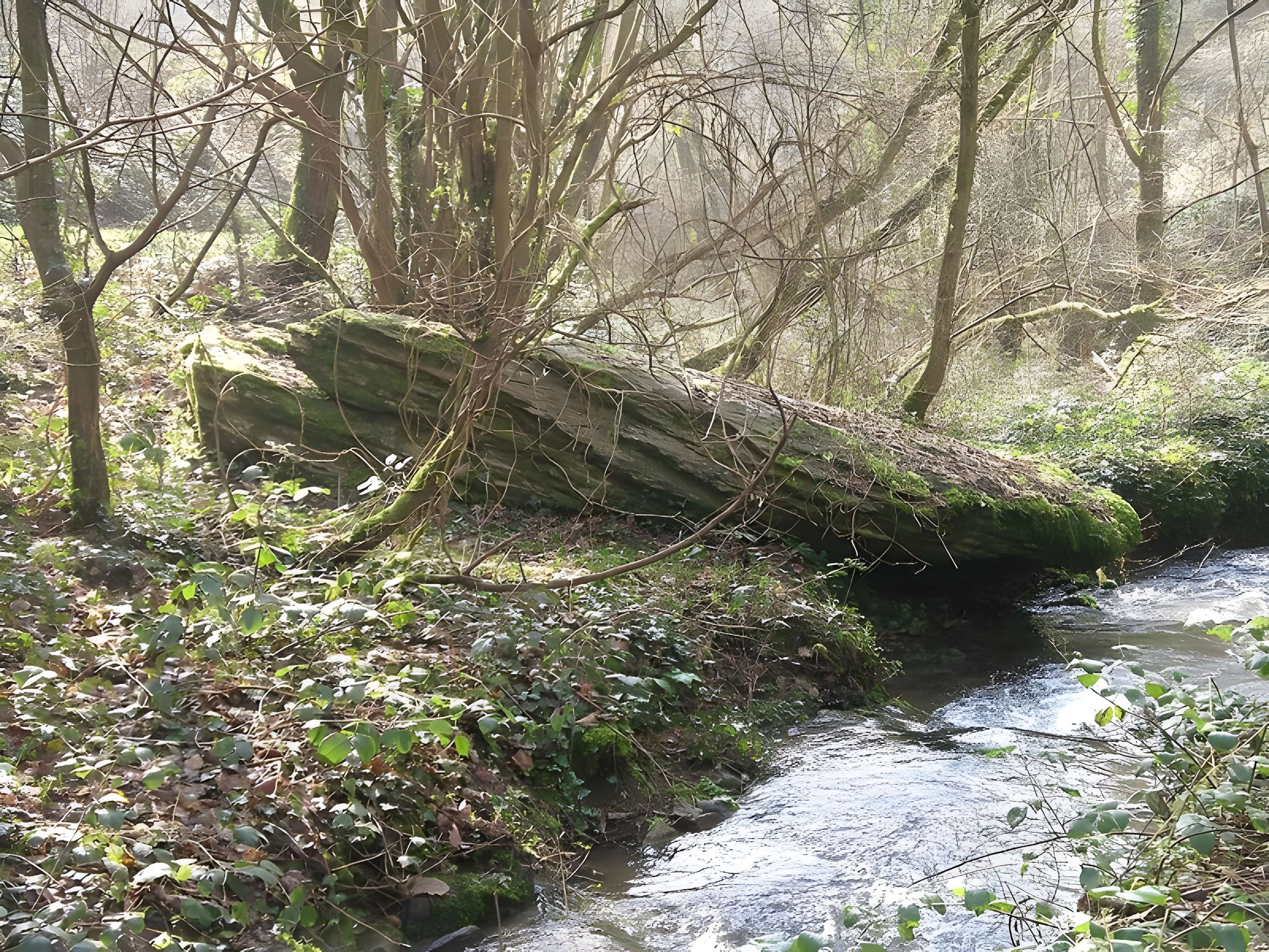 Belle Roche de Culey-le-Patry 