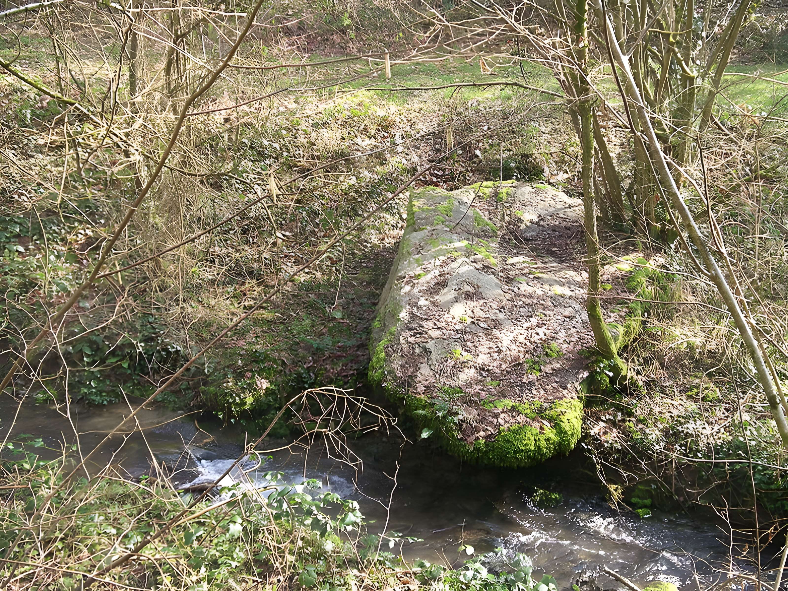 Belle Roche de Culey-le-Patry