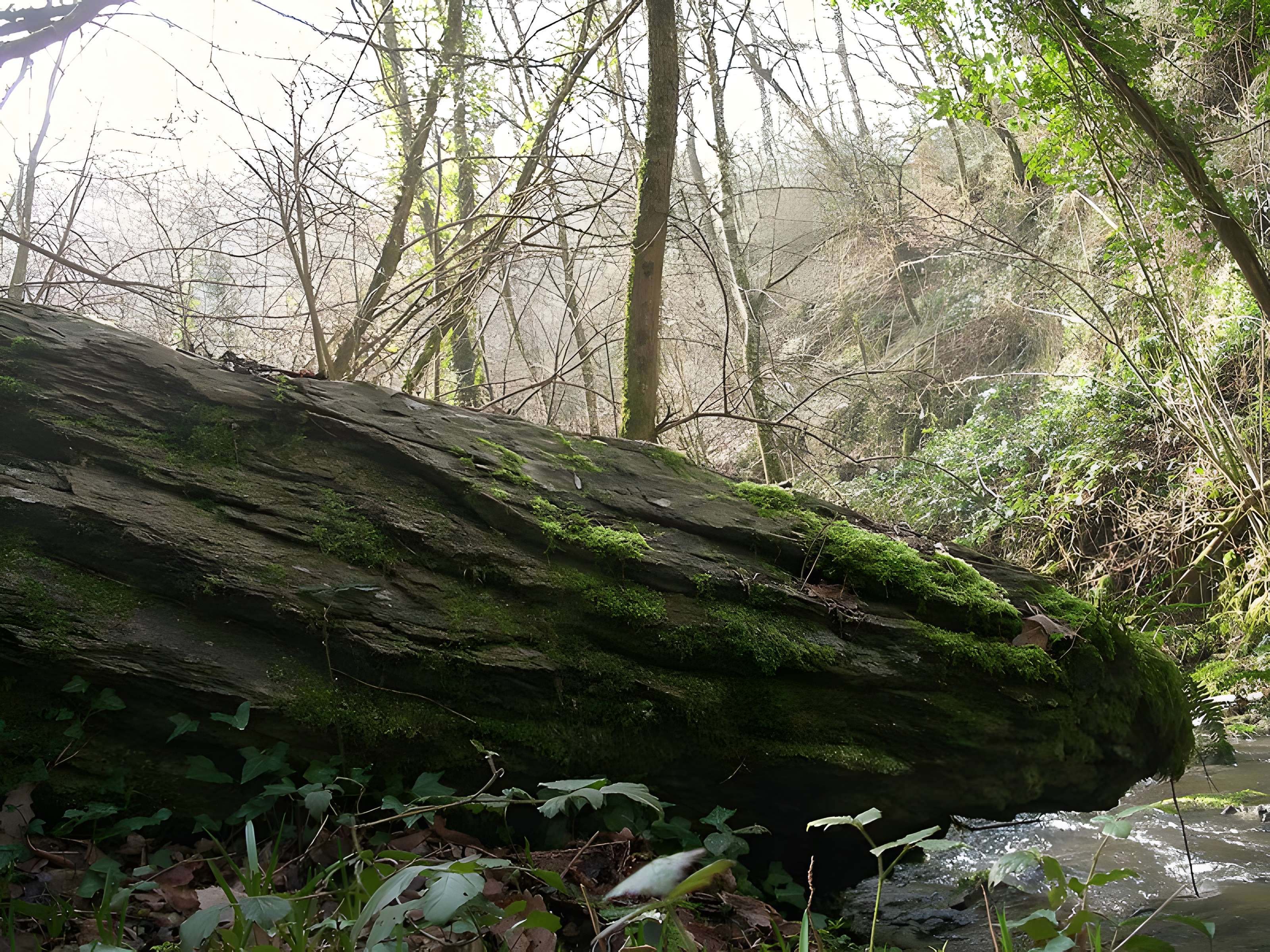 Belle Roche de Culey-le-Patry