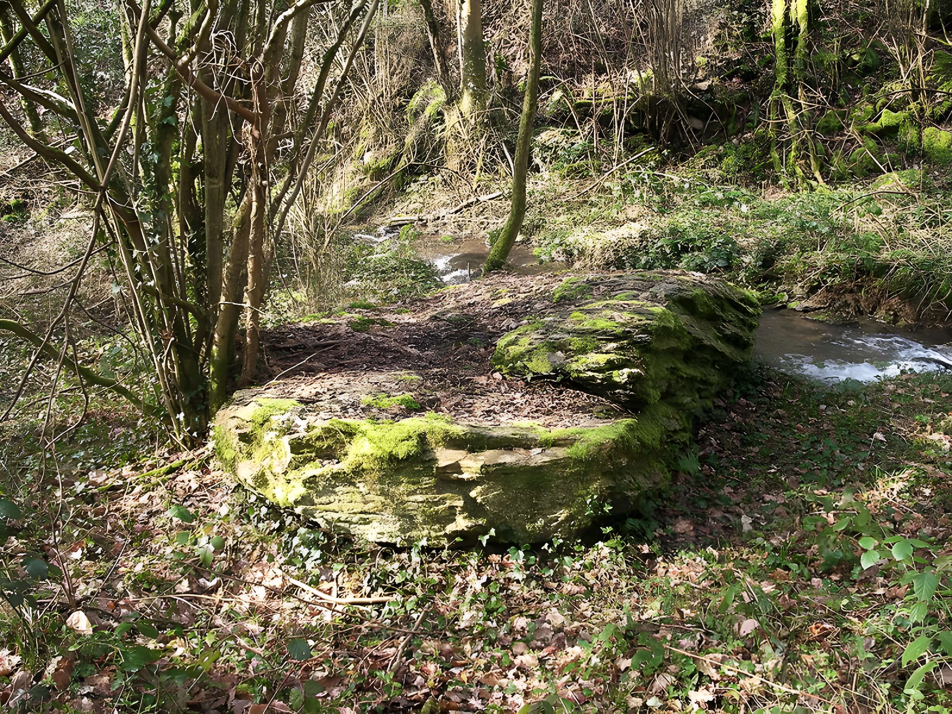 Belle Roche de Culey-le-Patry