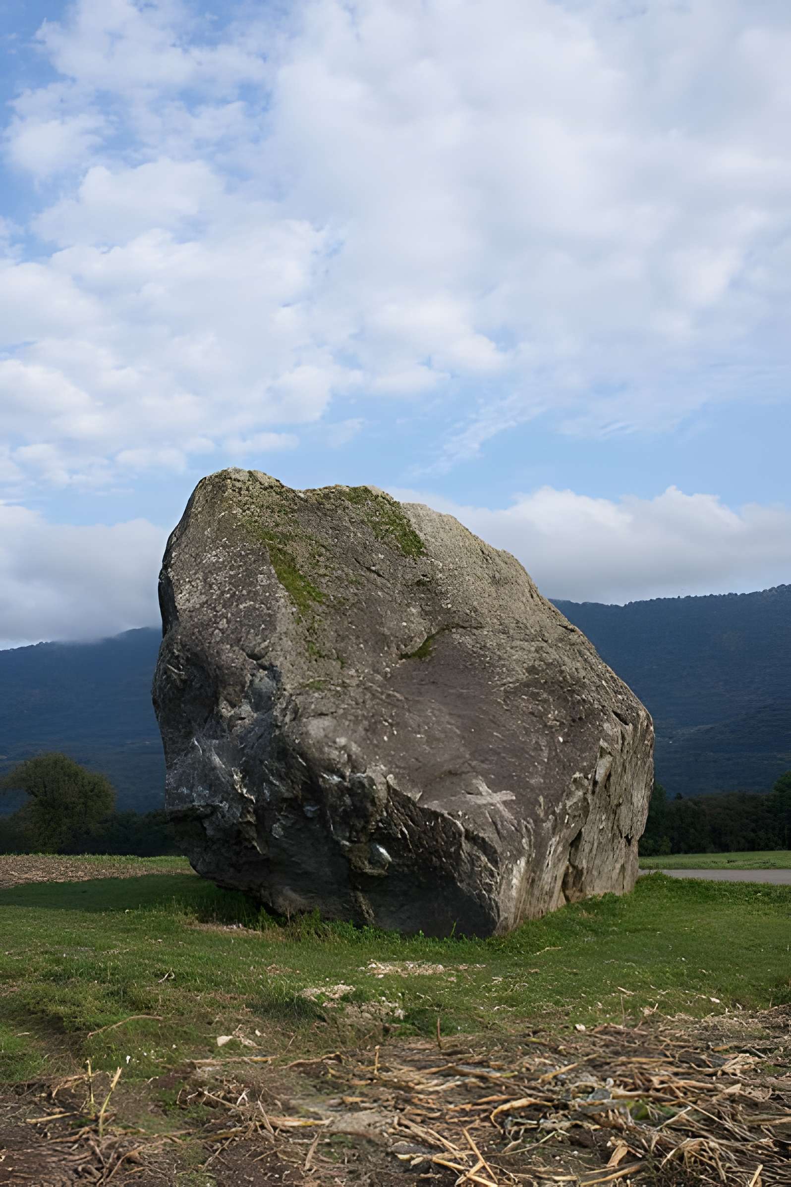 Bloc erratique sculpté d'Allinges 