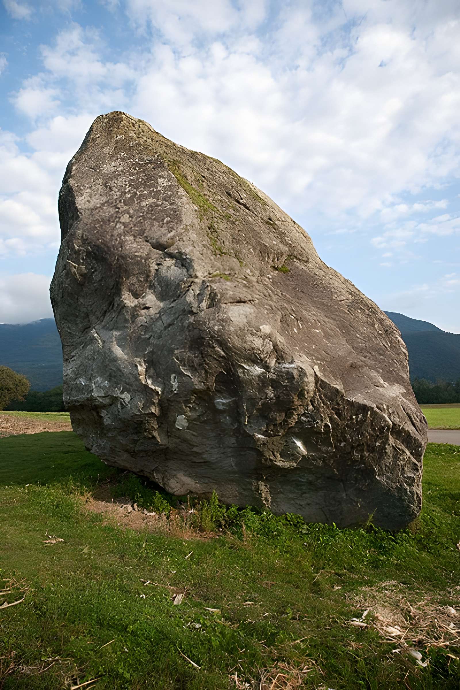 Bloc erratique sculpté d'Allinges