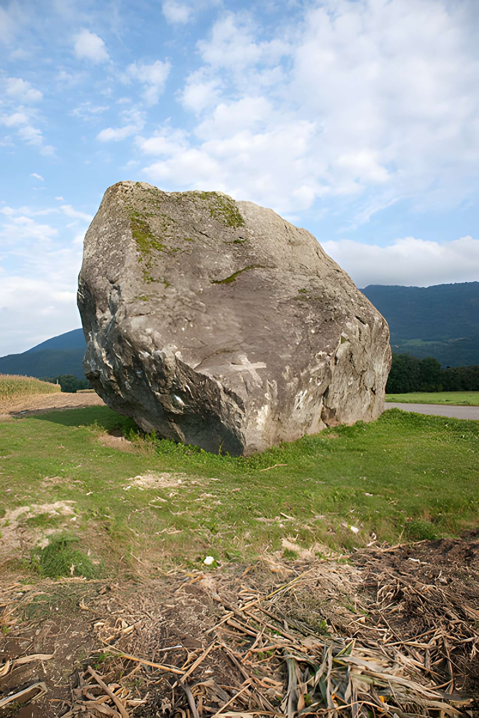Bloc erratique sculpté d'Allinges