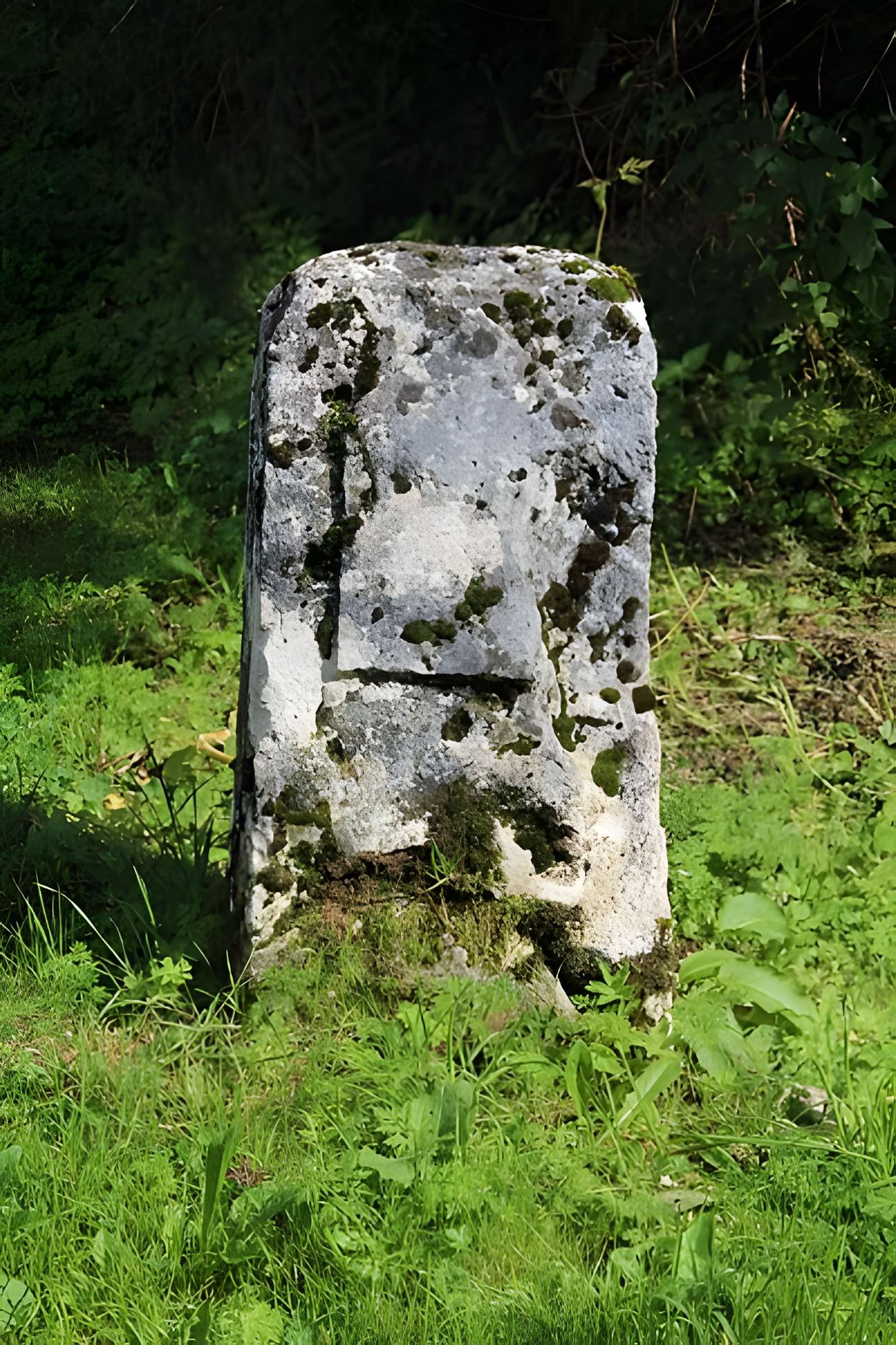 Borne au Lion de Chézery-Forens 