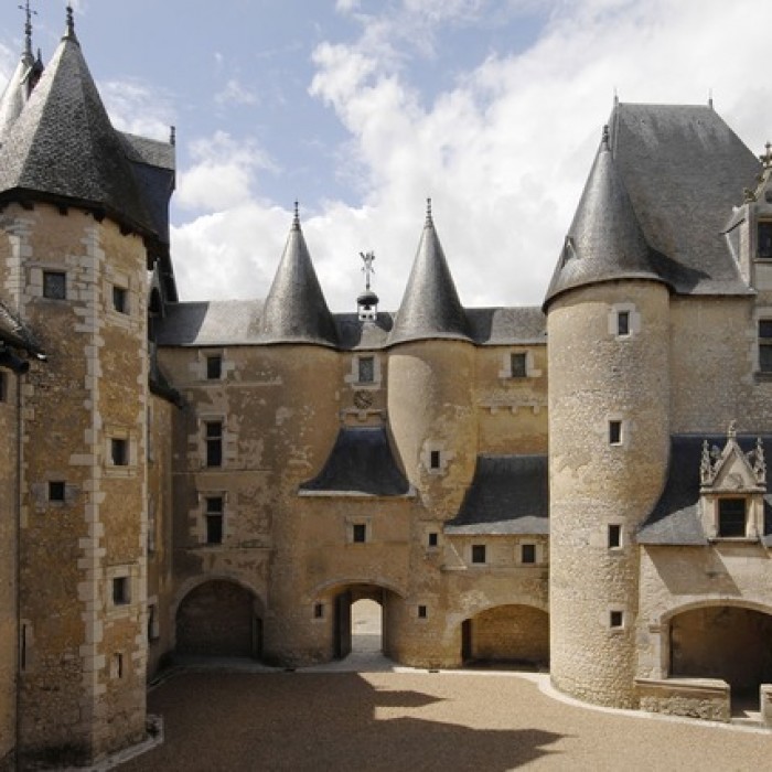 Photo de Château de Fougères-sur-Bièvre
