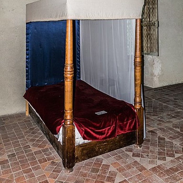 Photo de Château de Fougères-sur-Bièvre