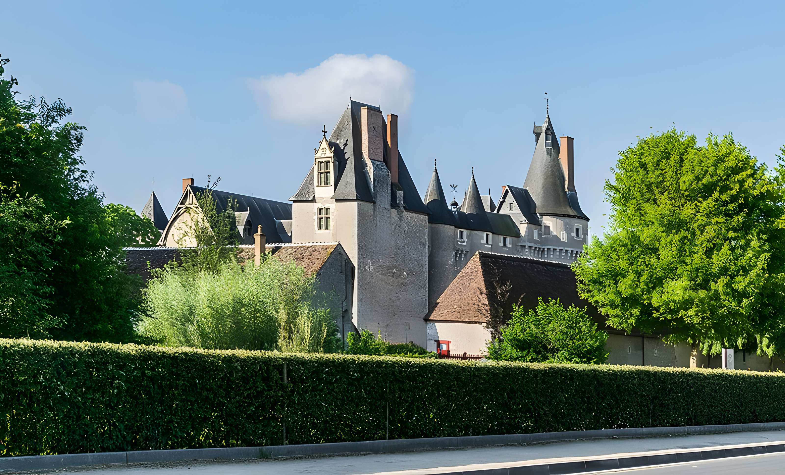 Château de Fougères-sur-Bièvre