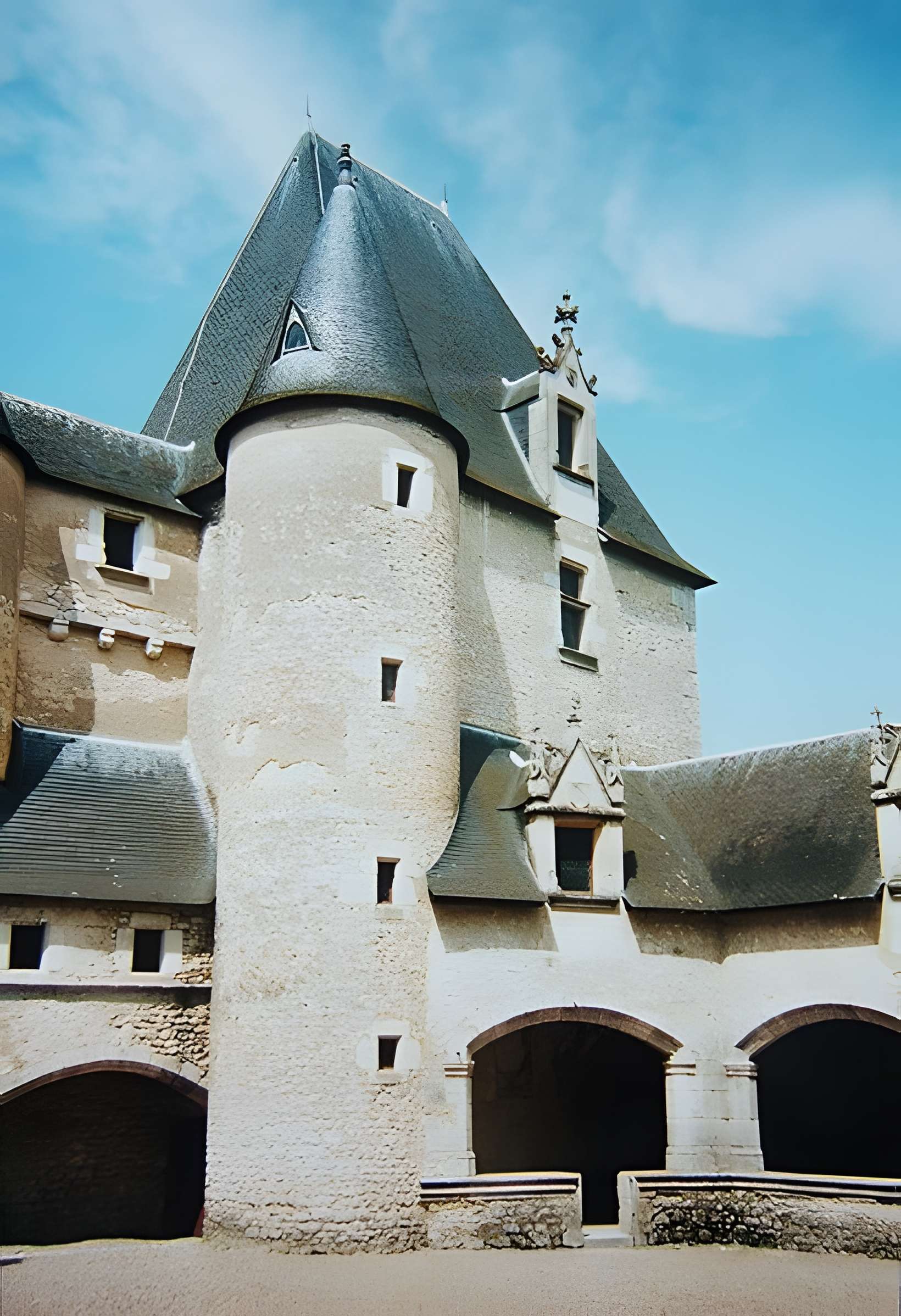 Château de Fougères-sur-Bièvre