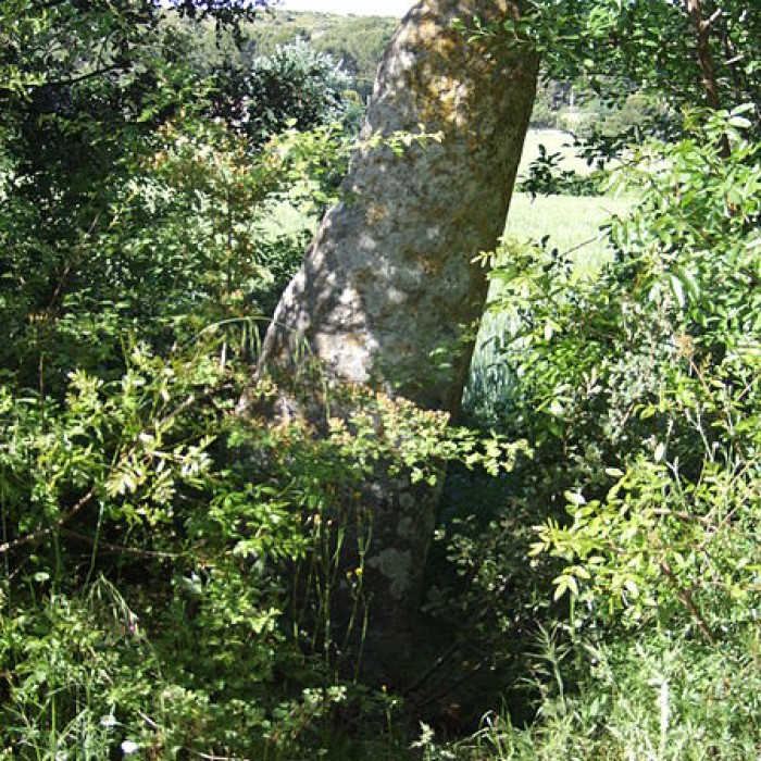 Photo de Borne milliaire de Bidoussanne