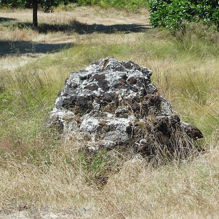 Photo de Bornes de sauveté de Mimizan