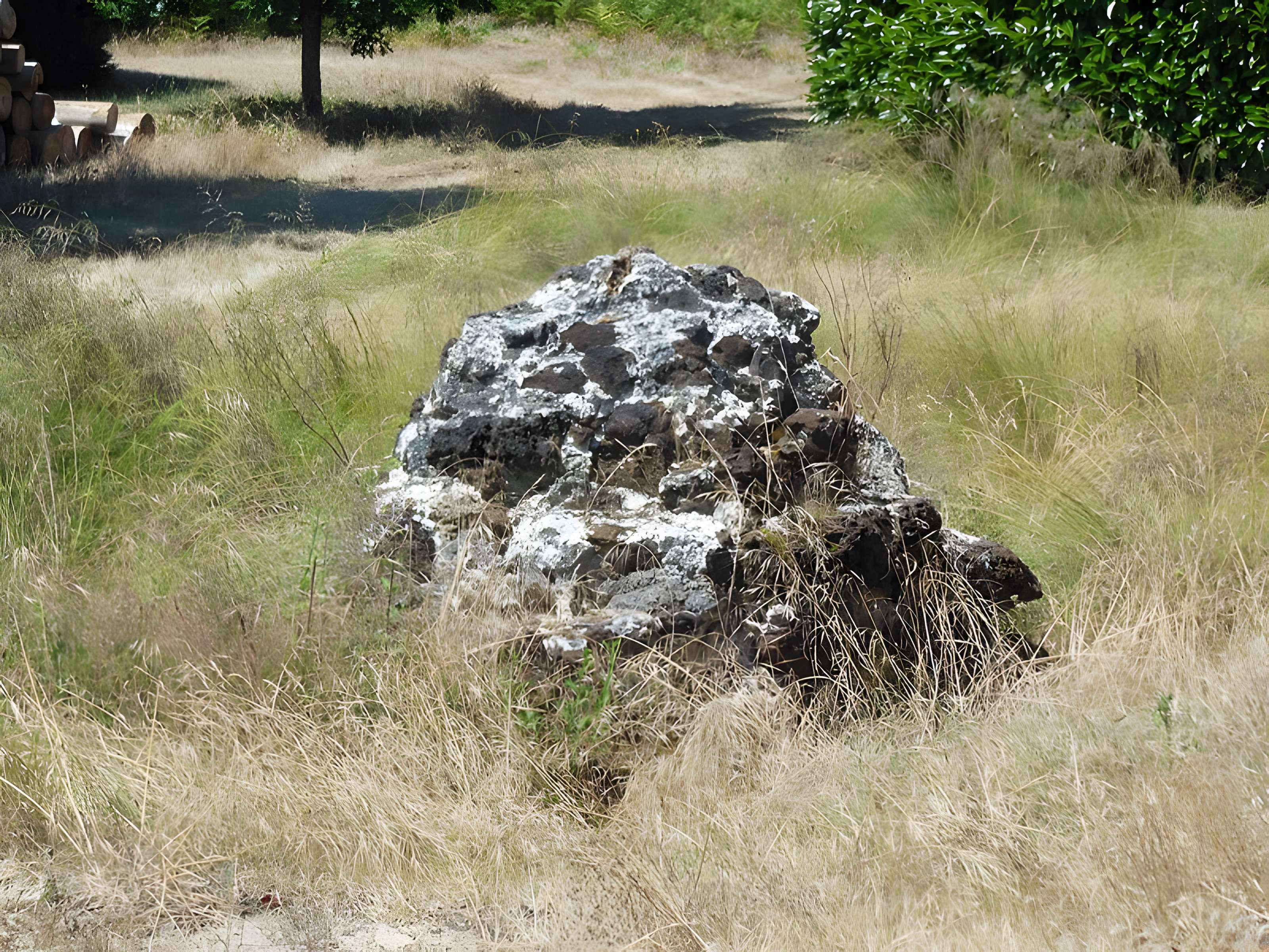 Bornes de sauveté de Mimizan