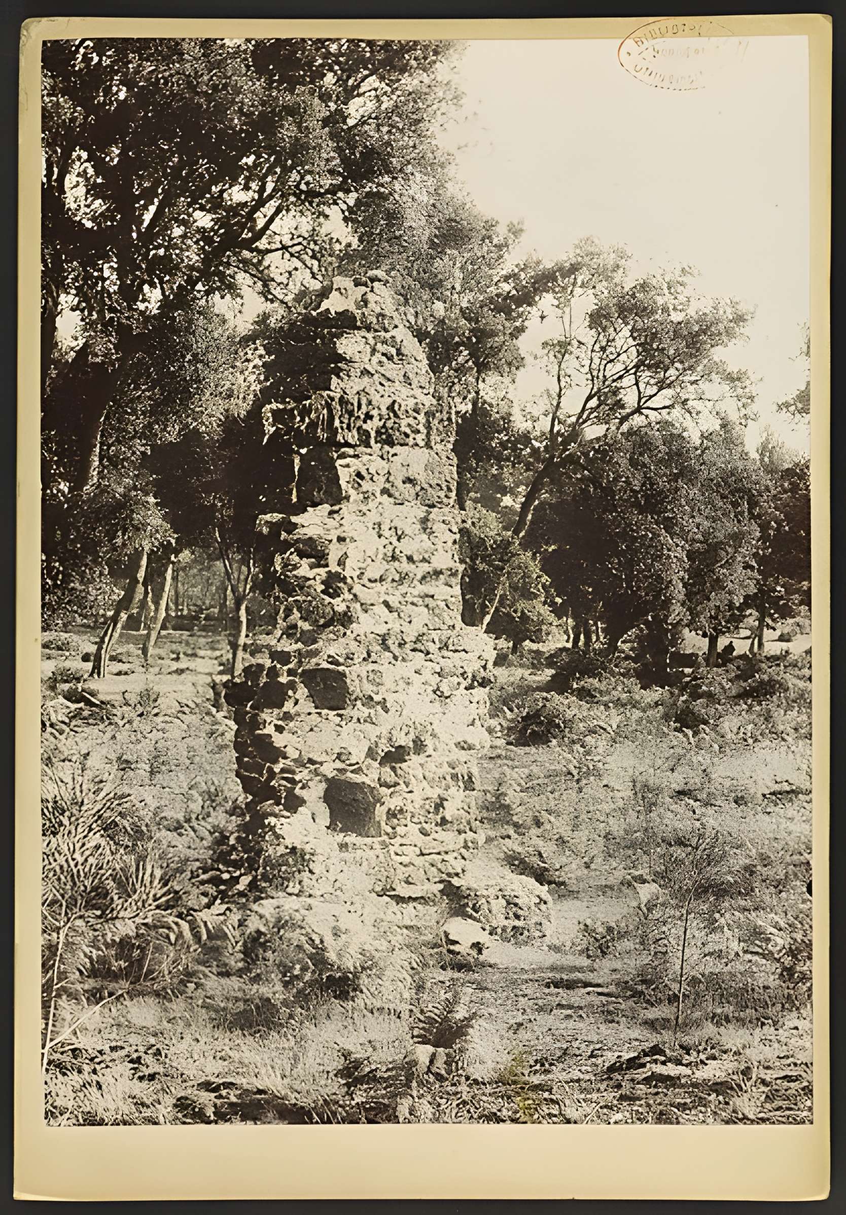 Bornes de sauveté de Mimizan