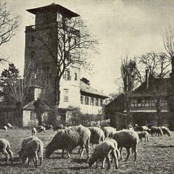 Photo de Tour et pavillon de plaisance, dits Breuscheckschlössel