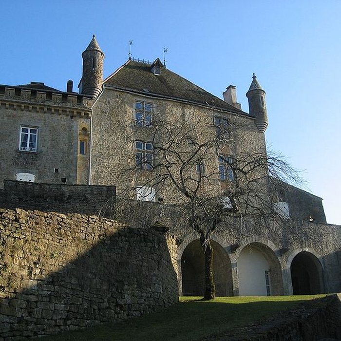 Photo de Château de Frontenay