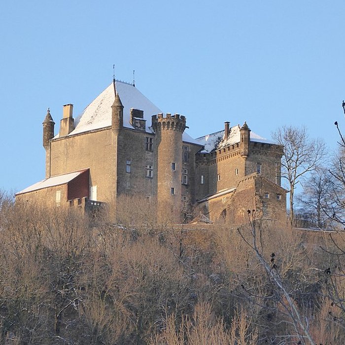 Photo de Château de Frontenay