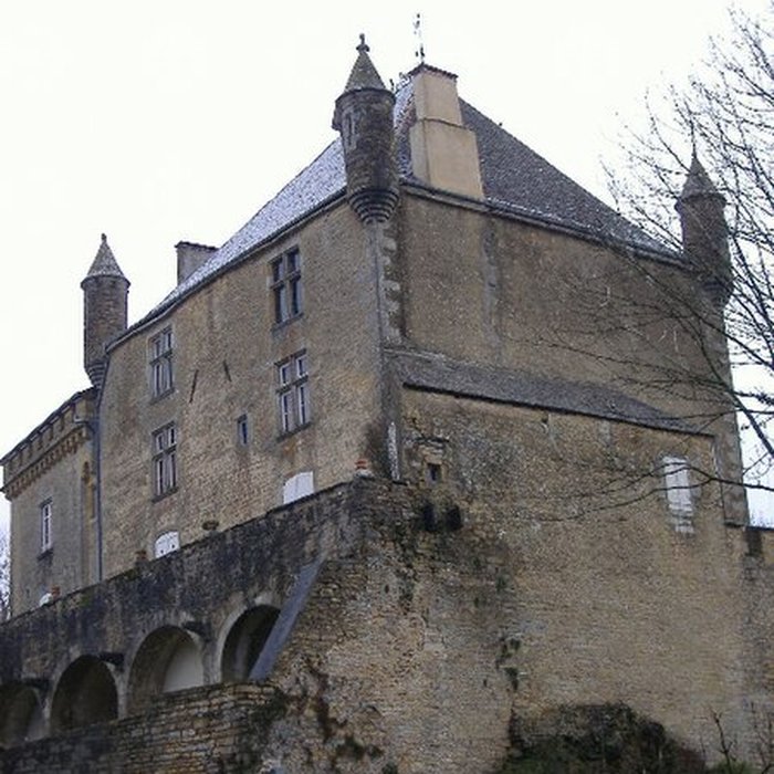 Photo de Château de Frontenay