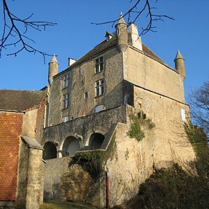 Photo de Château de Frontenay