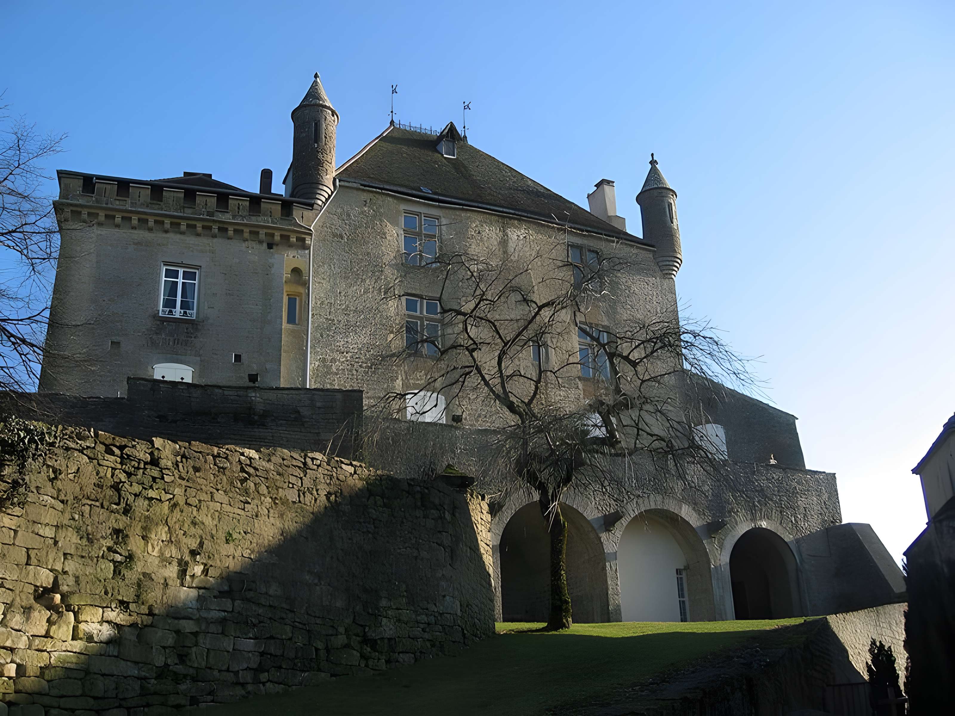 Château de Frontenay