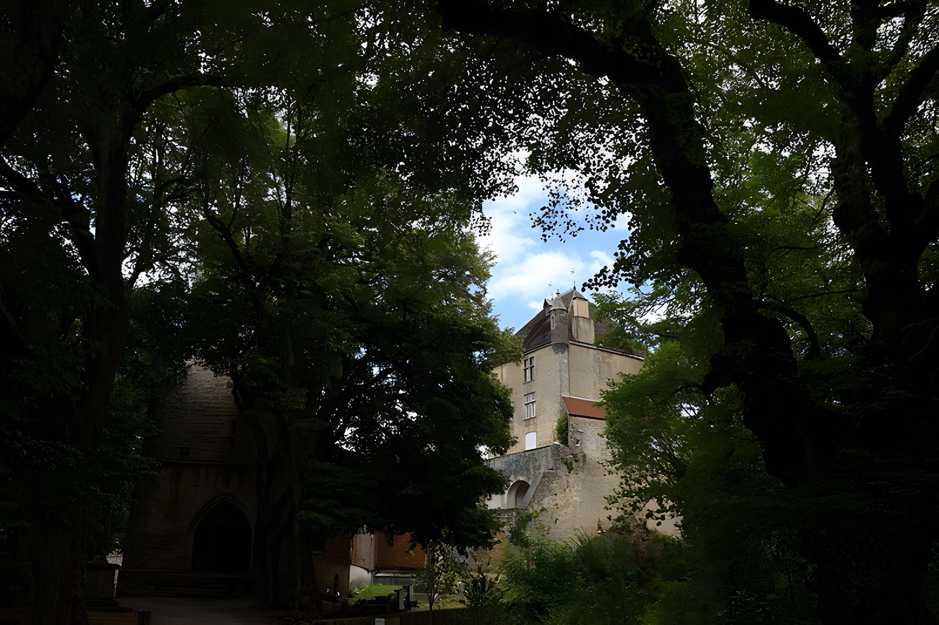 Château de Frontenay