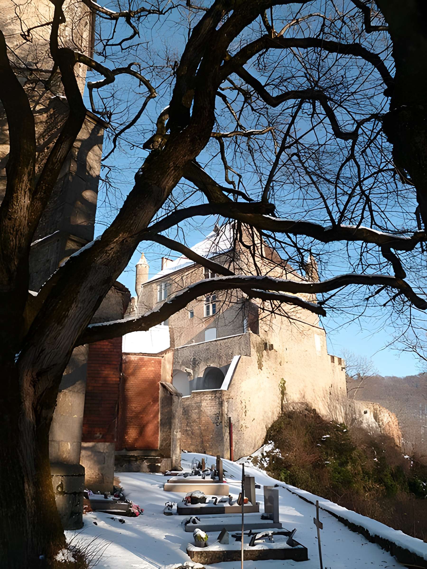Château de Frontenay