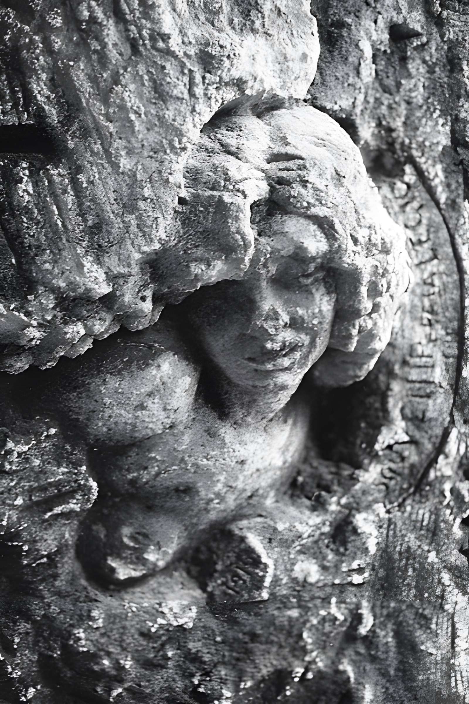 Carrière du Chauffour à Thiescourt