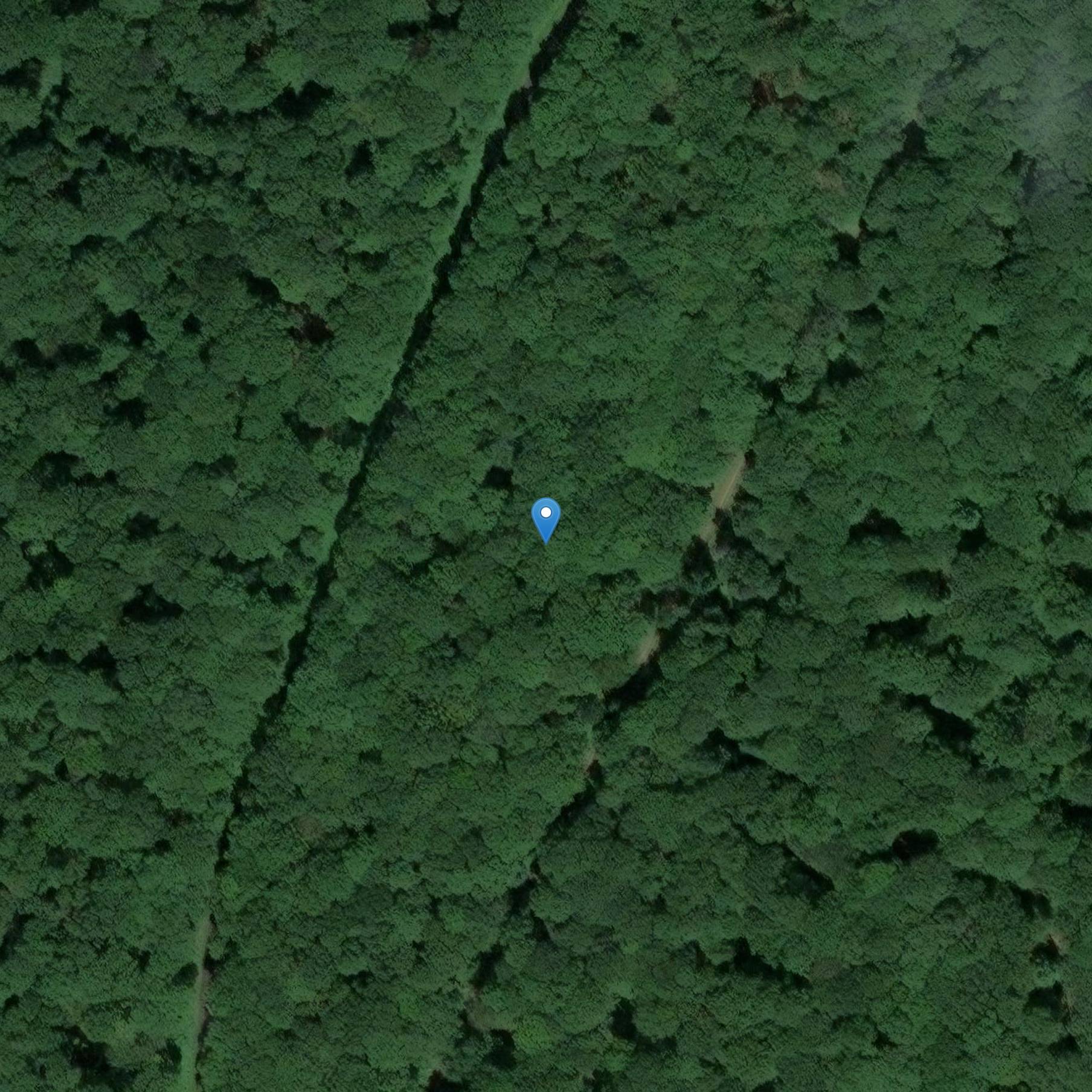 Photo de Chiesa di Saint-Germain di Gyé-sur-Seine