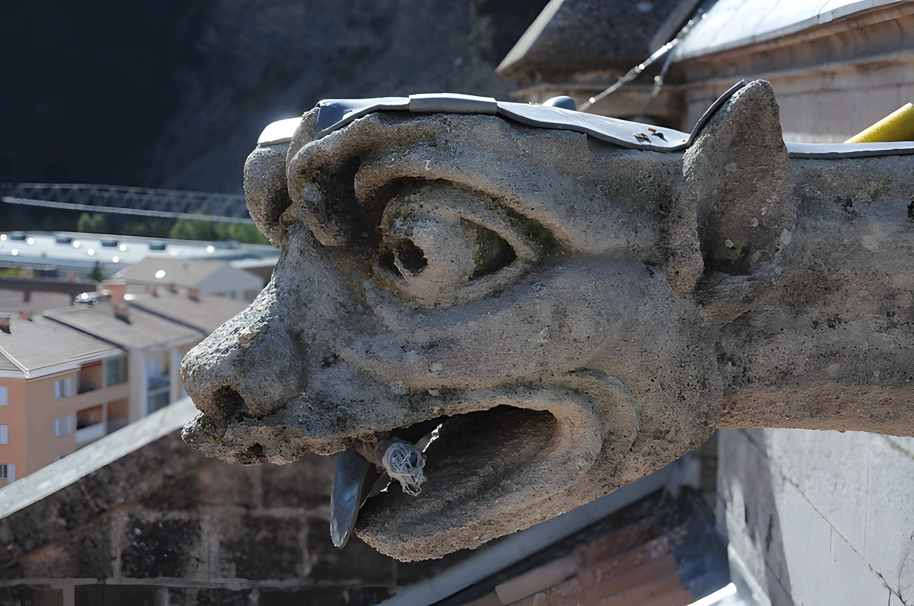 Cathédrale Saint-Jérôme de Digne