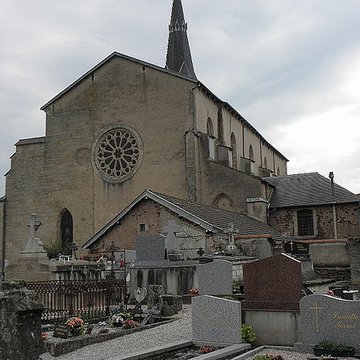 Cathédrale Saint-Sauveur de Vabres-lAbbaye
